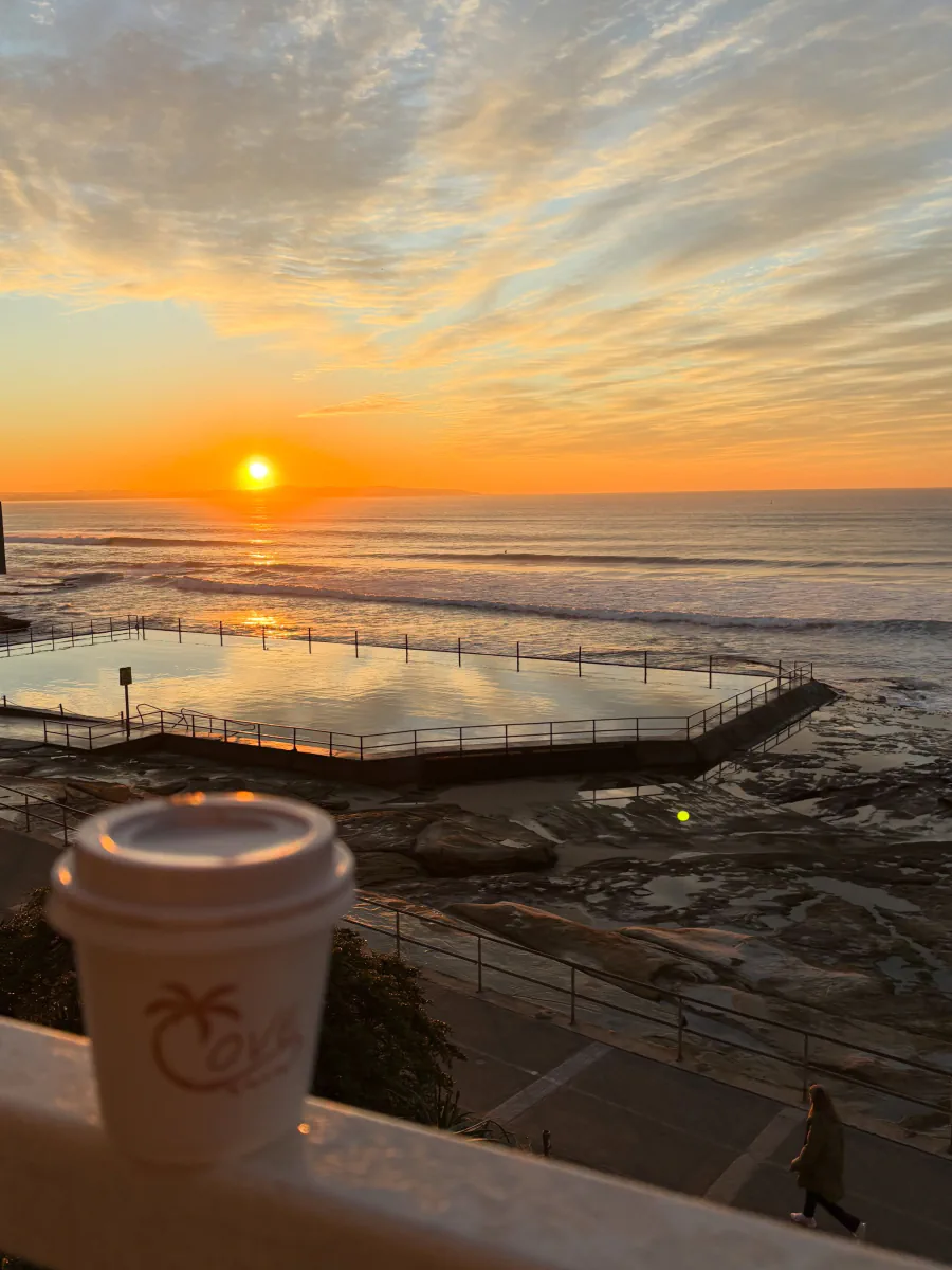 COVE takeaway coffee overlooking Cronulla ocean pool at sunrise